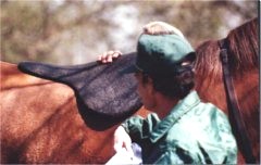 Best Pad's inaugural race in saddling paddock at Keeneland on Arbitrary Risk 1996